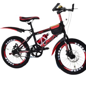 20 inch Bicycle