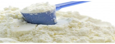 Powdered Milk