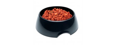 Cat Food