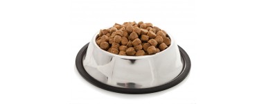 Dog And Puppy Food
