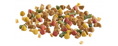 Dry Foods