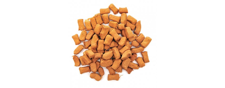 Cat And Kitten Treats