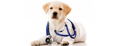 Health Supplies