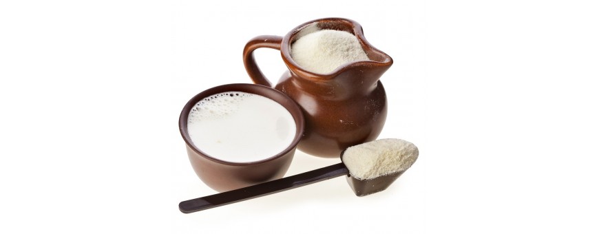 Milk Products